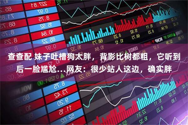 查查配 妹子吐槽狗太胖，背影比树都粗，它听到后一脸尴尬…网友：很少站人这边，确实胖